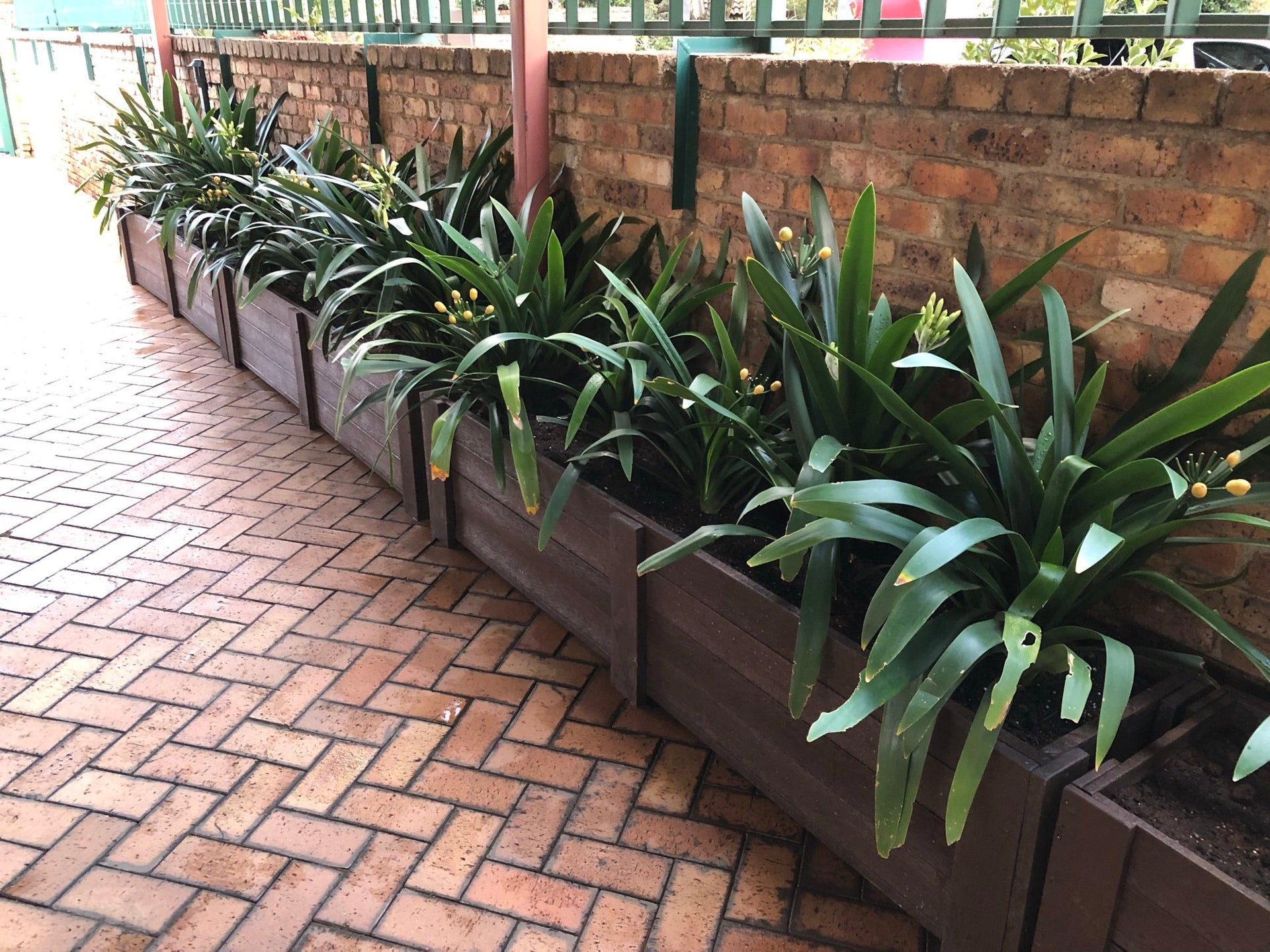 Planter Boxes
