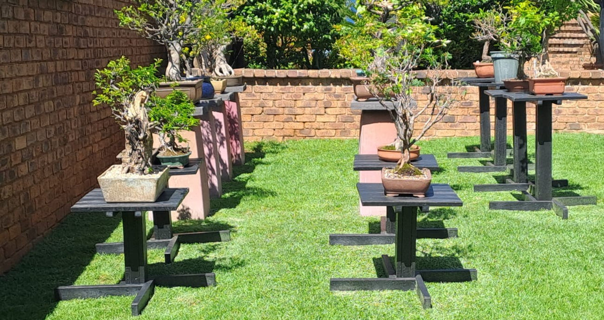 Bonsai Display Table