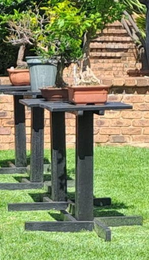 Bonsai Display Table