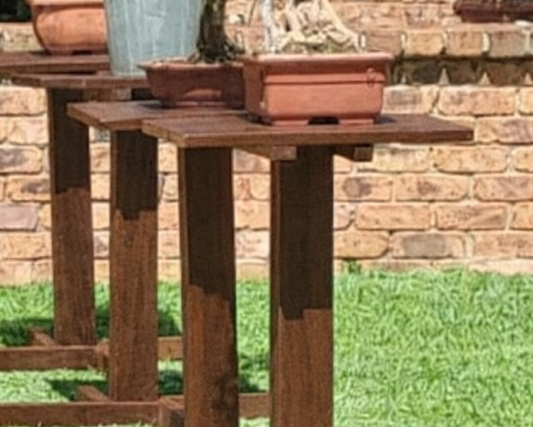 Bonsai Display Table