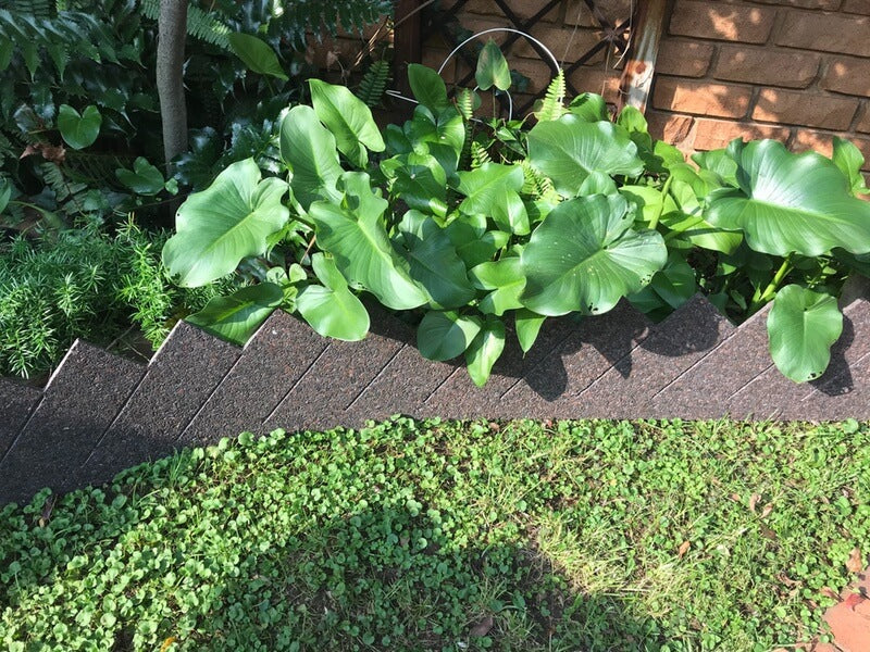 8mm Plastic Board