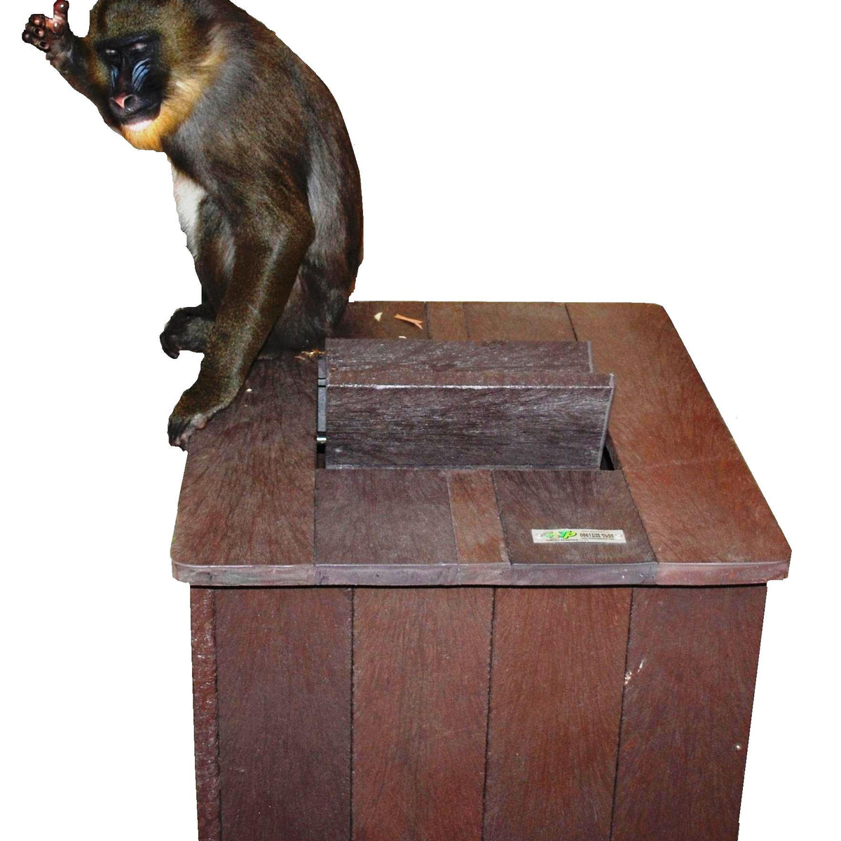 Monkey Proof Dustbin – MYWASTE