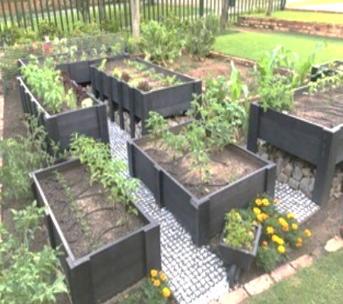 Planter Boxes