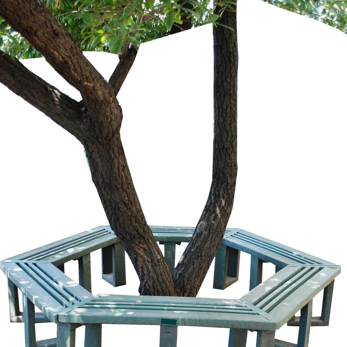 Hex Tree Bench